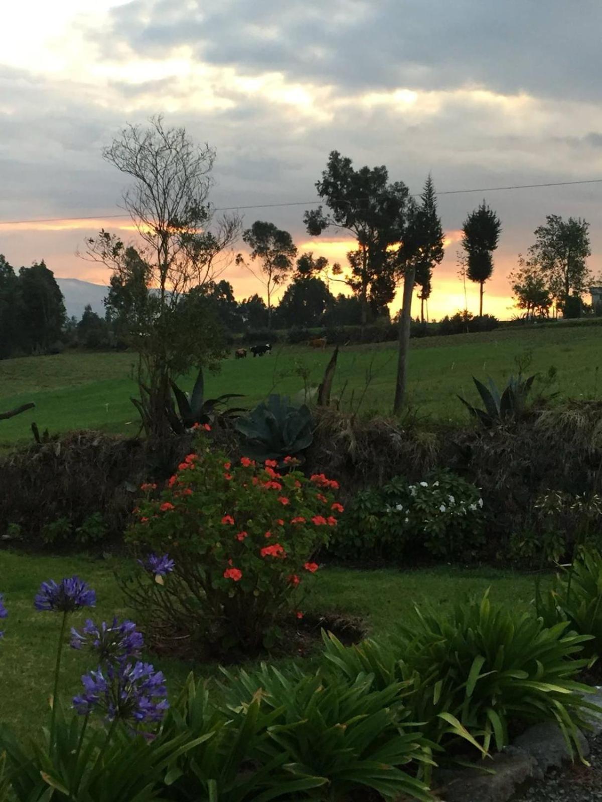 Cottage house Cayambe Exterior photo